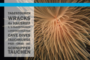 Tauchbasis DIVE CENTER KRK - Tagestouren, Bootstauchgänge, Wracktauchgänge