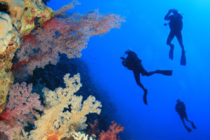 Low Season Angebot - DIVE CENTER KRK